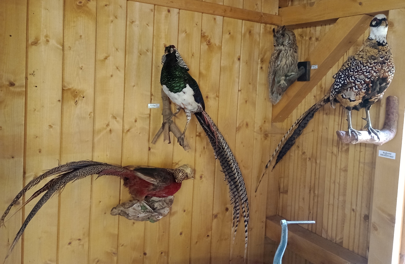 Vycpaniny muzeum3sekery